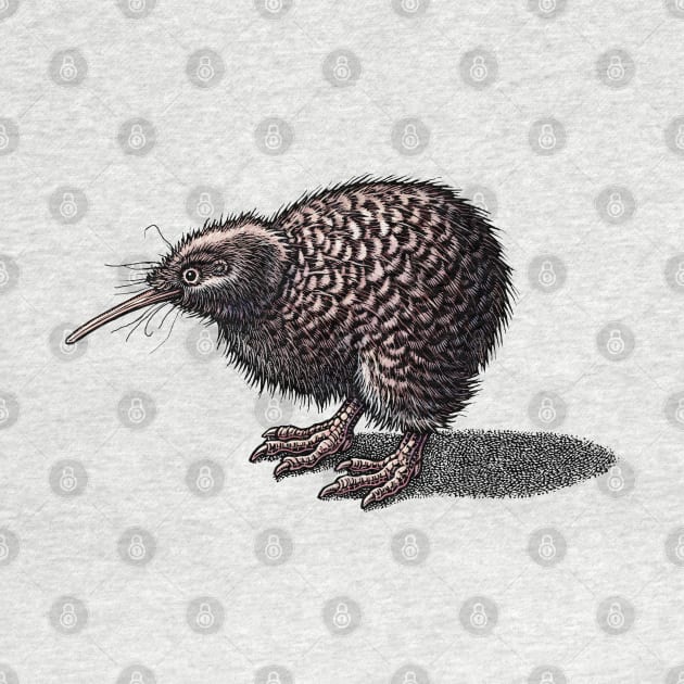 Kiwi Bird (New Zealand) by Lisa Haney